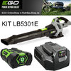 Leaf blower kit LB5301E